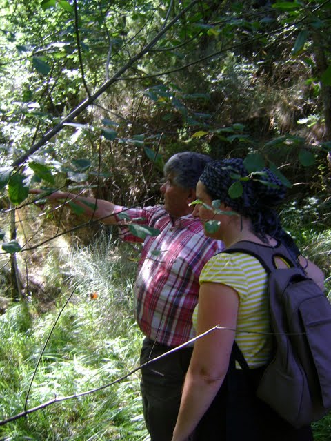 Un veciño indica a localización do Tesouro da Urdiñeira